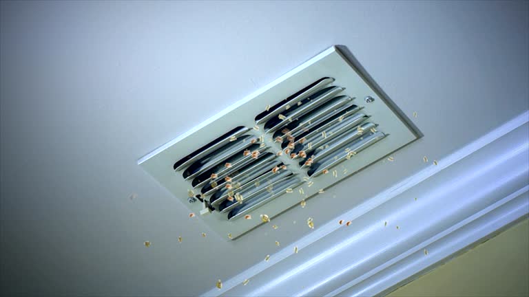 Best Best Air Duct Cleaning Company  in Grafton, WI